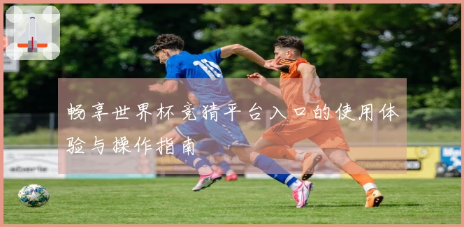 畅享世界杯竞猜平台入口的使用体验与操作指南