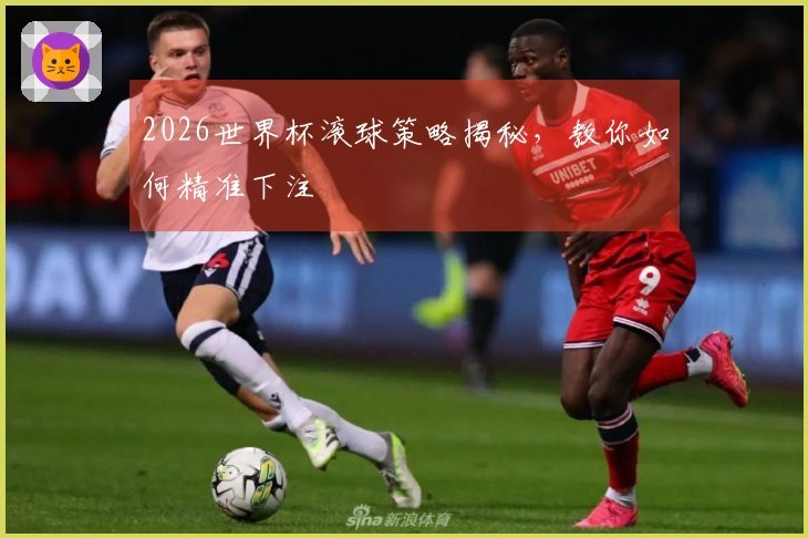 2026世界杯滚球策略揭秘，教你如何精准下注