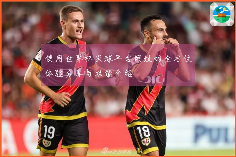 使用世界杯买球平台网址的全方位体验分享与功能介绍