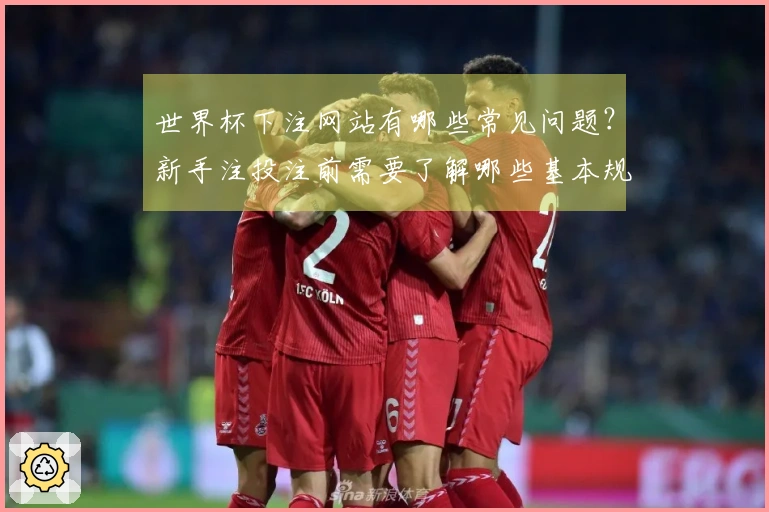世界杯下注网站有哪些常见问题？新手注投注前需要了解哪些基本规则和入口信息