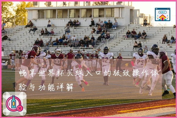 畅享世界杯买球入口的极致操作体验与功能详解