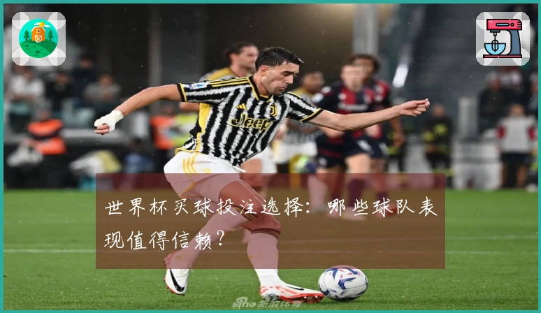世界杯买球投注选择：哪些球队表现值得信赖？