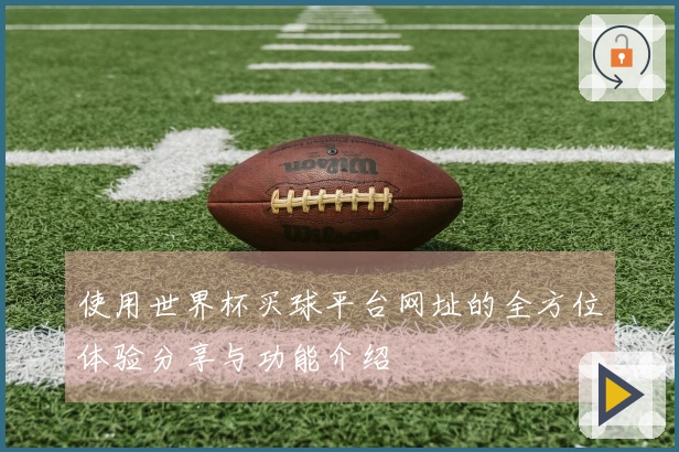 使用世界杯买球平台网址的全方位体验分享与功能介绍