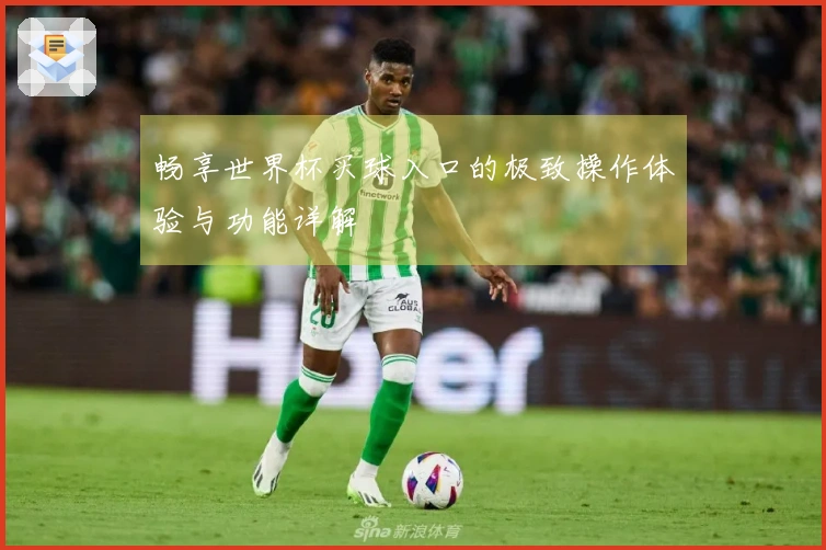畅享世界杯买球入口的极致操作体验与功能详解