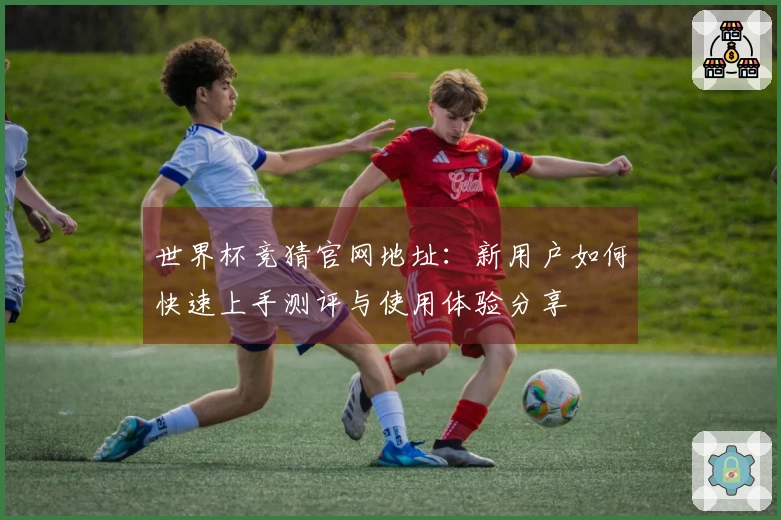世界杯竞猜官网地址：新用户如何快速上手测评与使用体验分享