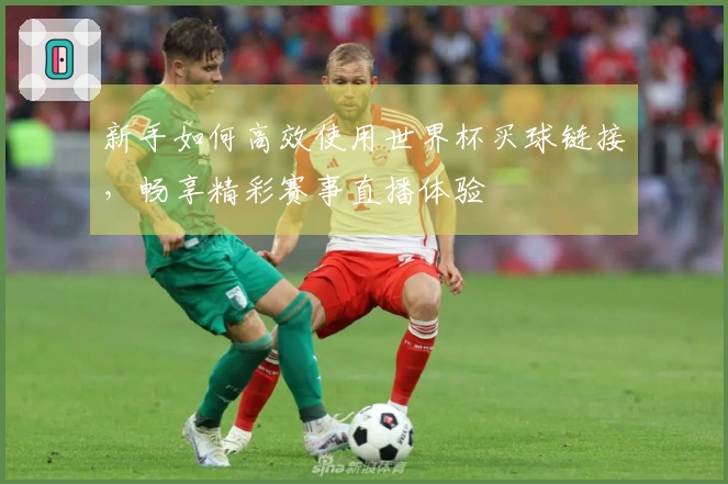 新手如何高效使用世界杯买球链接，畅享精彩赛事直播体验
