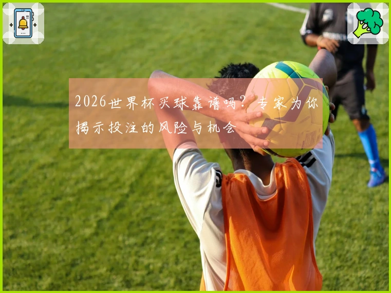 2026世界杯买球靠谱吗？专家为你揭示投注的风险与机会