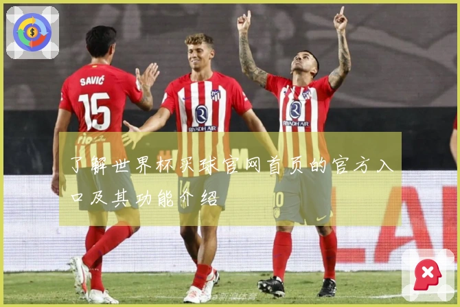 了解世界杯买球官网首页的官方入口及其功能介绍