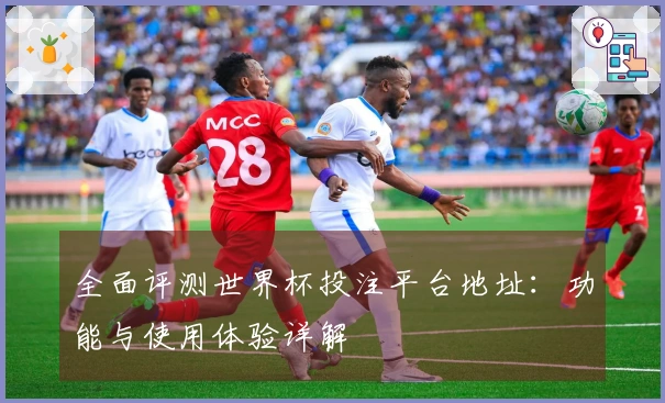 全面评测世界杯投注平台地址：功能与使用体验详解